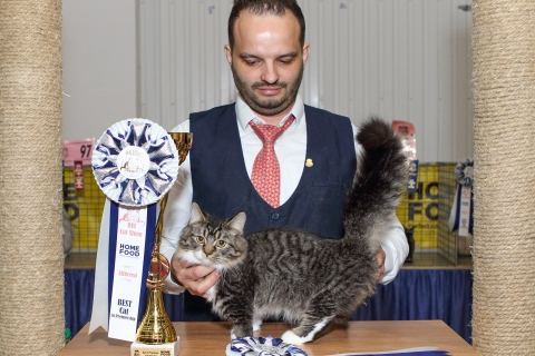 IMG_1077-copy