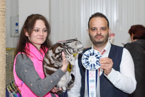 IMG_1084-copy