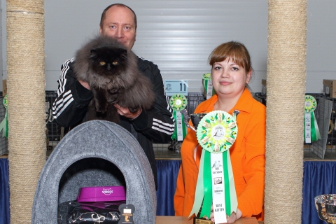 IMG_1109-copy