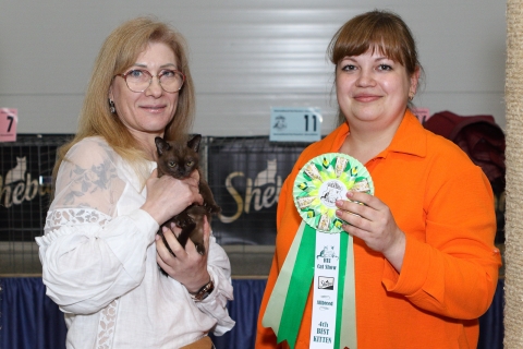 IMG_1113-copy