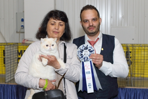 IMG_1154-copy