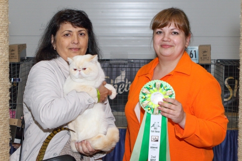 IMG_1175-copy