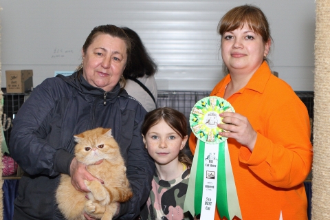 IMG_1177-copy