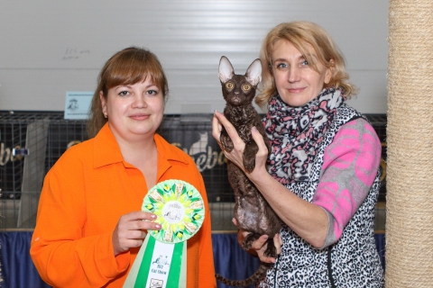 IMG_1185-copy