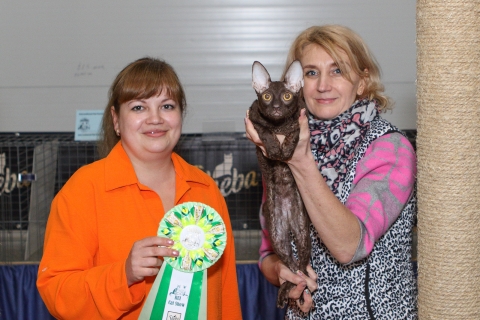 IMG_1186-copy