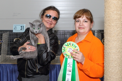 IMG_1189-copy