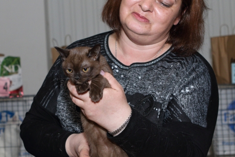 IMG_1240-copy