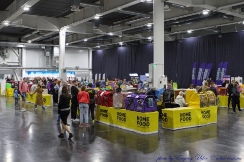 IMG_0889-copy