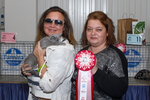 IMG_1265-copy