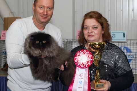 IMG_1268-copy