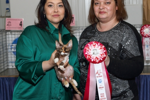 IMG_1270-copy
