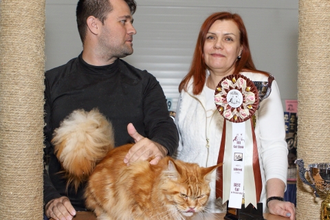 IMG_1293-copy