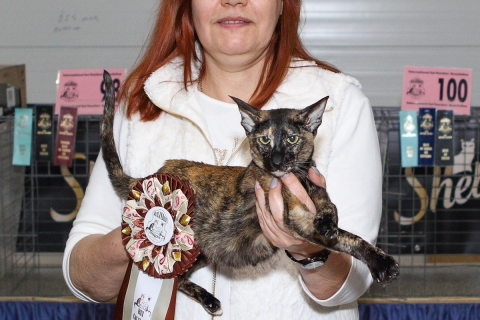 IMG_1304-copy