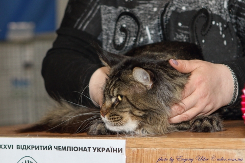 IMG_1320-copy