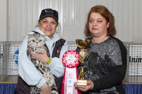 IMG_1356-copy