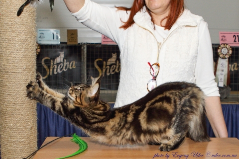 IMG_1376-copy