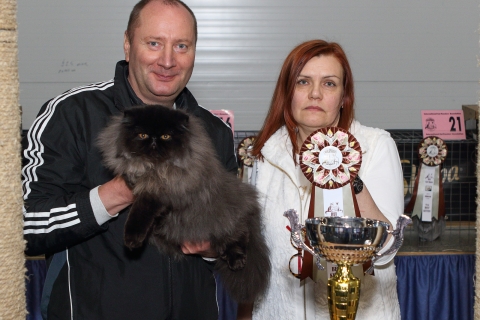 IMG_1381-copy