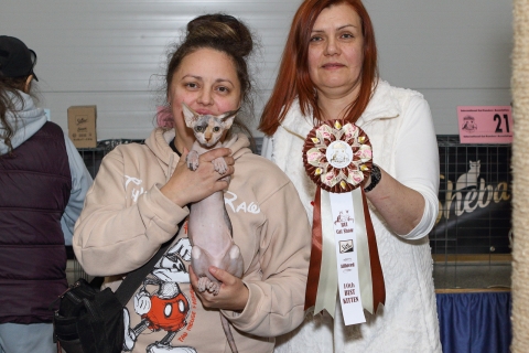 IMG_1385-copy