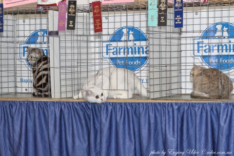IMG_1410-copy